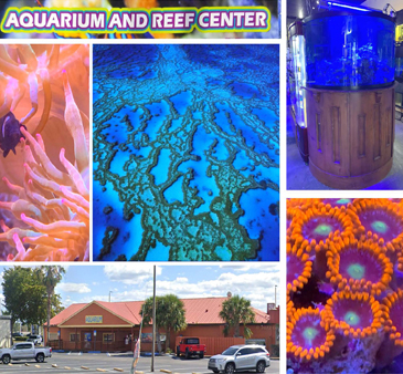 Business Spotlight: Aquarium and Reef Center