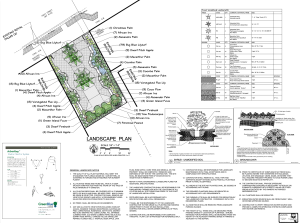 Pocket Park Landscape Plan